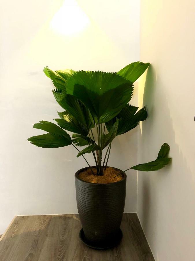 شقة Minimalist Duplex @ Petaling Jaya & Sunway المظهر الخارجي الصورة